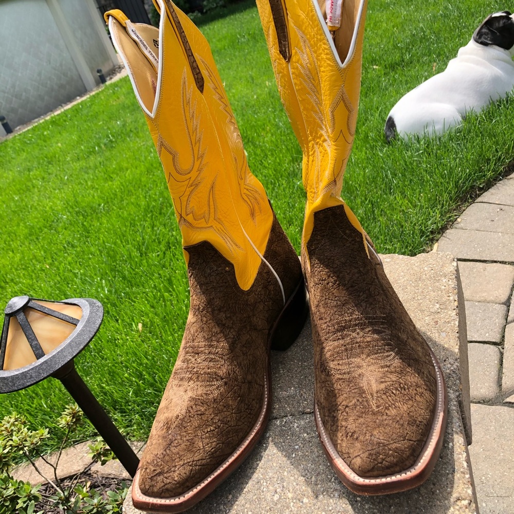 Rios of mercedes authentic exotic hippo boots